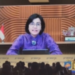 indonesia has vital leadership role in green transition finance minister