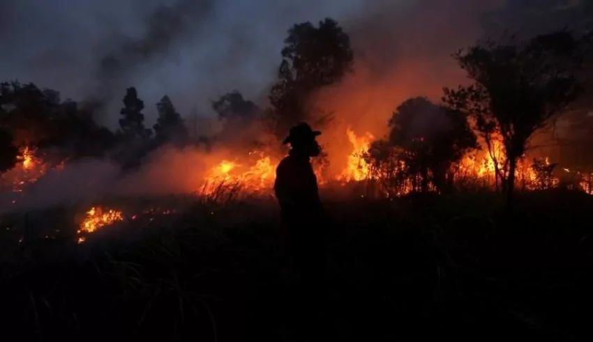 Indonesia sees wildfire ‘hotspots’ double amid dry weather conditions