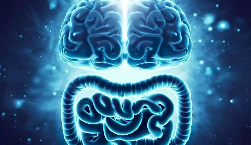 MIT’s New Technology Can Probe the Neural Circuits That Influence Hunger, Mood, and Diseases