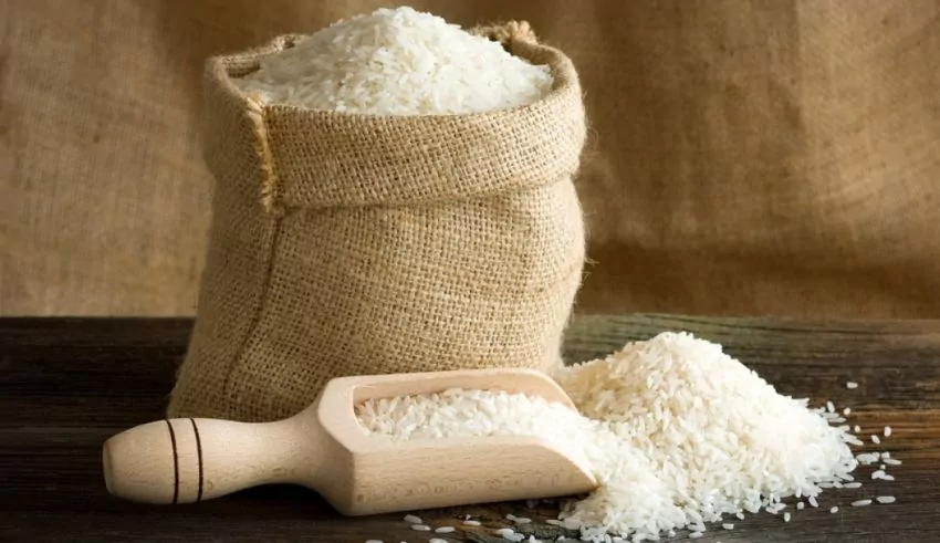 Singapore Seeks Exemption from India’s Non-Basmati Rice Export Ban