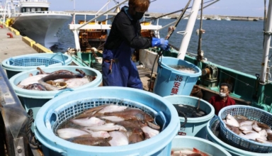 china bans all japanese seafood over fukushima water release