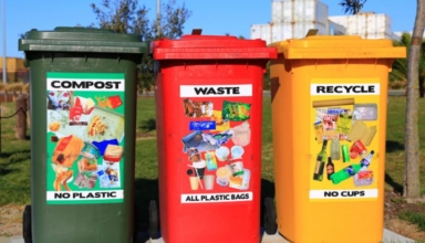 singaporeans asked to bin waste without plastic bags is it actually feasible