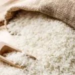 the challenge of india's rice export ban navigating global food security