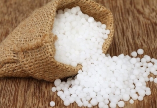 south korea assures no urea shortage amidst china's export concerns