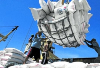 why is the philippines the leading rice importer