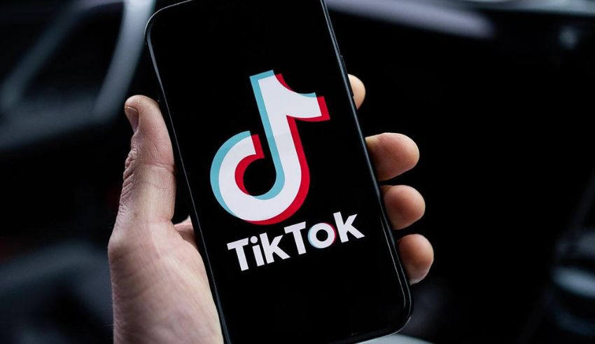 why is there a tiktok transaction ban in indonesia