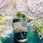 24 reasons to explore japan in 2024