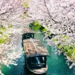 24 reasons to explore japan in 2024