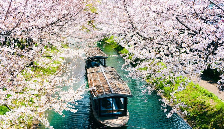 24 reasons to explore japan in 2024