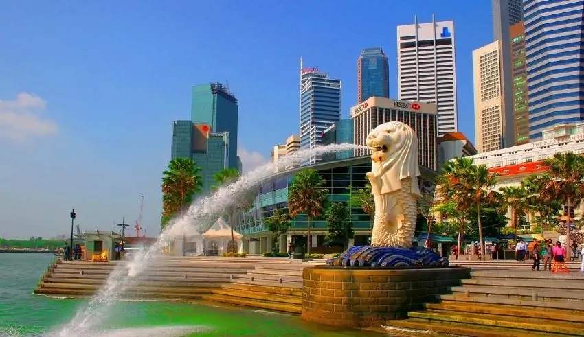 Here’s What Prominent CEOs have to Say About Singapore