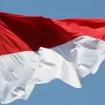 what's so controversial about the 2024 indonesian elections