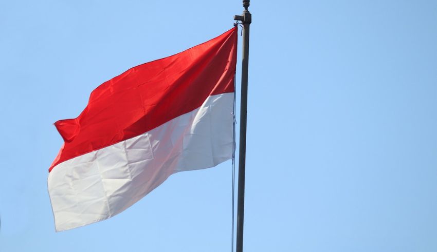 decoding indonesia's 2024 foreign policy shifts an insightful analysis