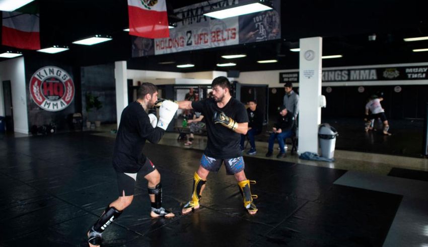 unlocking excellence singapore's top 10 mma gyms