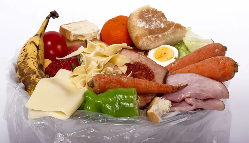 how maggots can help indonesia reduce food waste and emissions