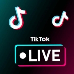 tiktok live streamers in vietnam how they make money and what it means for the future of work