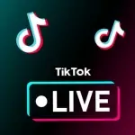 tiktok live streamers in vietnam how they make money and what it means for the future of work