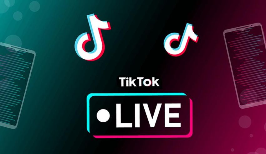 tiktok live streamers in vietnam how they make money and what it means for the future of work