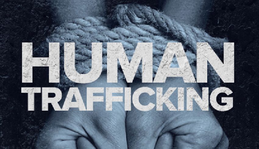 human trafficking crisis in southeast asia scams, slavery, and urgent calls for action in 2024