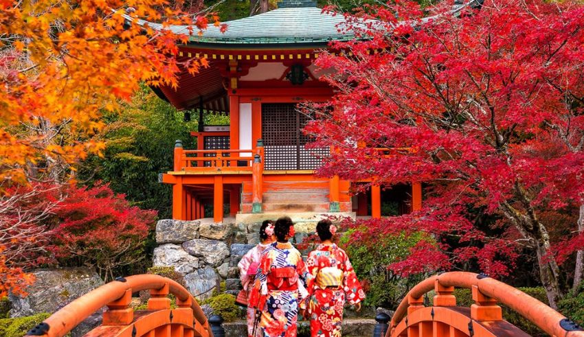a government issued dating app japan’s answer to addressing population decline