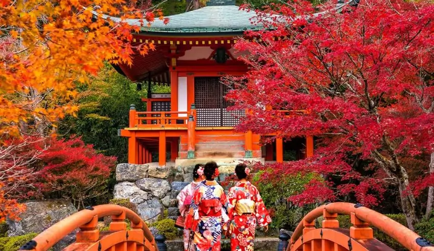 a government issued dating app japan’s answer to addressing population decline