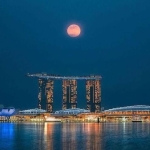 best companies in singapore 2024