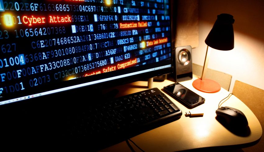 chinese suspect arrested world's largest botnet takedown