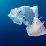 malaysia's microplastic consumption far exceeds global averages