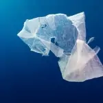 malaysia's microplastic consumption far exceeds global averages