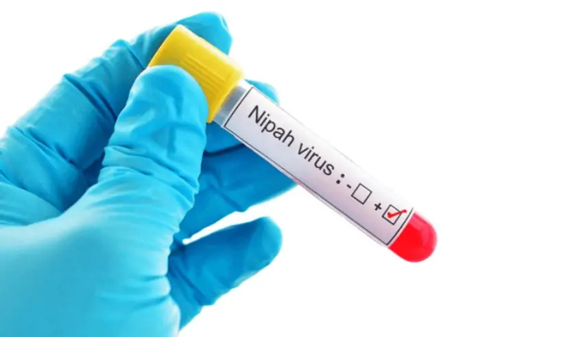 Teenager in India Dies from Deadly Nipah Virus, Raising Pandemic Fears