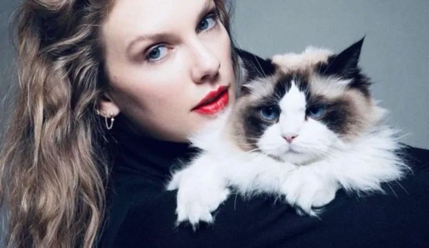 Taylor Swift Reveals Presidential Endorsement: Will Kamala Harris Skyrocket even more?