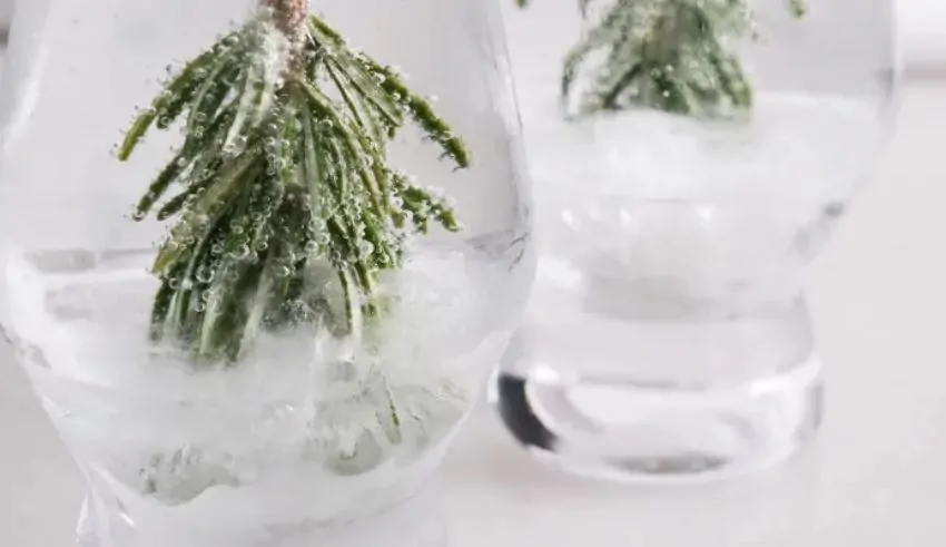 How to Make the Viral Cocktail Snow Globe Trend for Your Holiday Parties