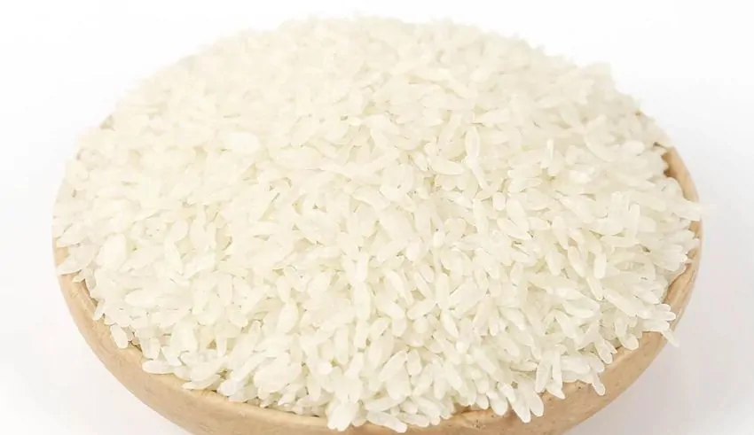 shirataki rice the new “diet rice” of asia