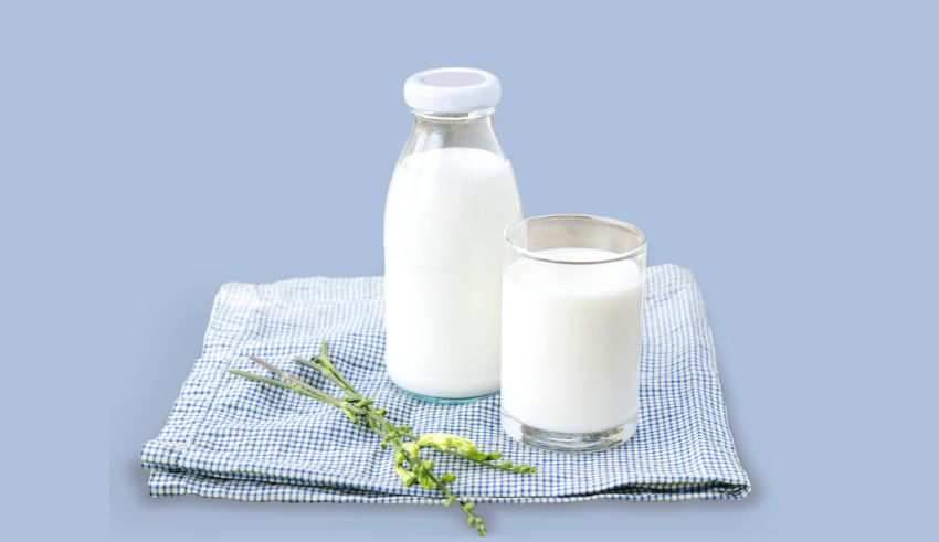 why hokkaido milk is a japanese favorite for food and skincare