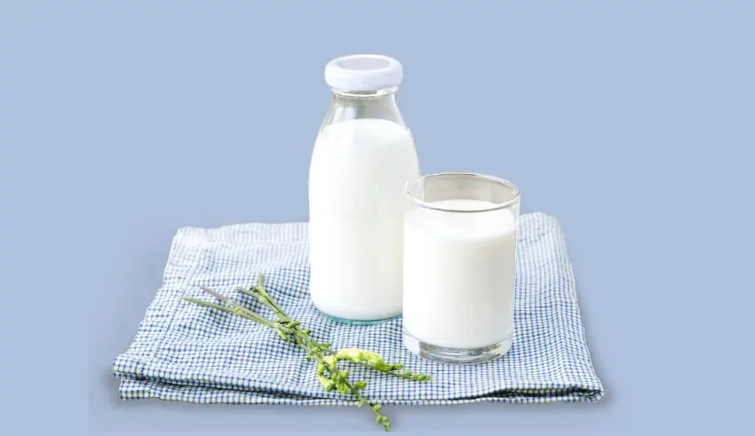why hokkaido milk is a japanese favorite for food and skincare