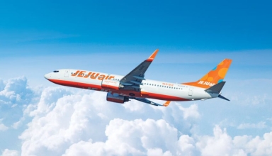 south korea plane crash 7 day mourning declared, bird strike unlikely sole cause