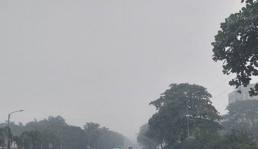 the cold weather and fog is expected to get intense from saturday in dhaka and other places of the country