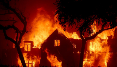 massive wildfire in northern japan destroys 84 buildings