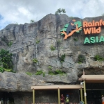 rainforest wild asia singapore’s newest wildlife adventure opens march 12th 2025