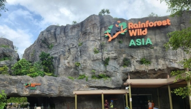 rainforest wild asia singapore’s newest wildlife adventure opens march 12th 2025
