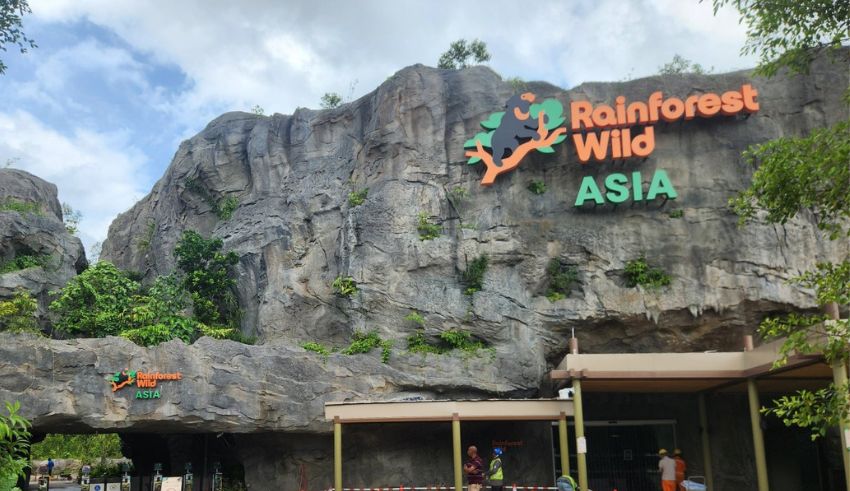 rainforest wild asia singapore’s newest wildlife adventure opens march 12th 2025