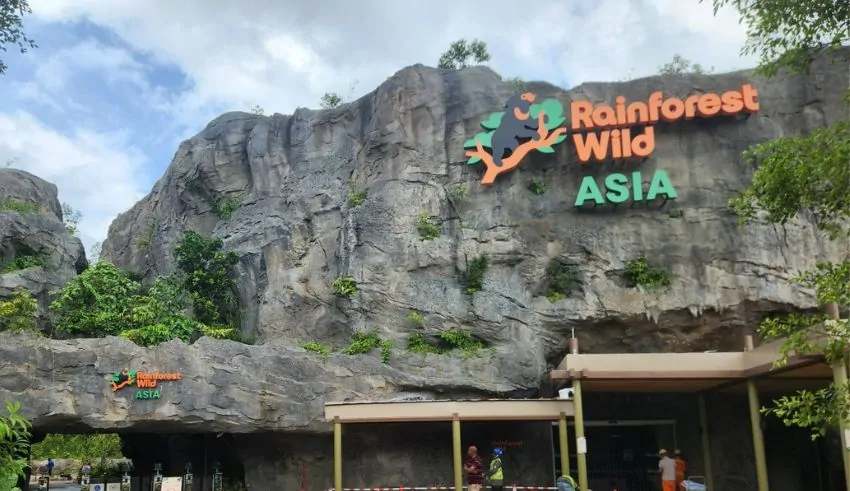 rainforest wild asia singapore’s newest wildlife adventure opens march 12th 2025