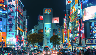 Just 17% of Japanese citizens hold passport: Reasons here