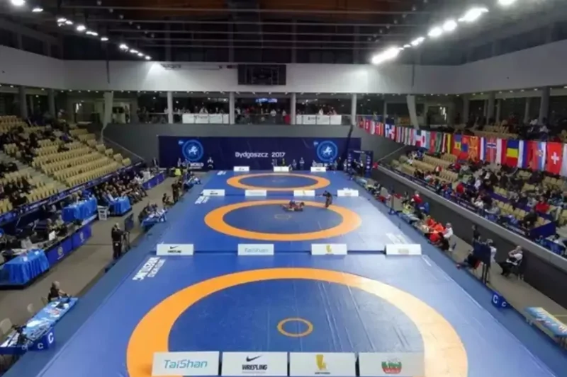 india's wrestling body gets green light after ministry lifts ban