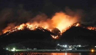 rain brings hope as japan battles unprecedented wildfire in ofunato