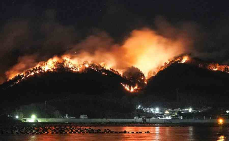 rain brings hope as japan battles unprecedented wildfire in ofunato