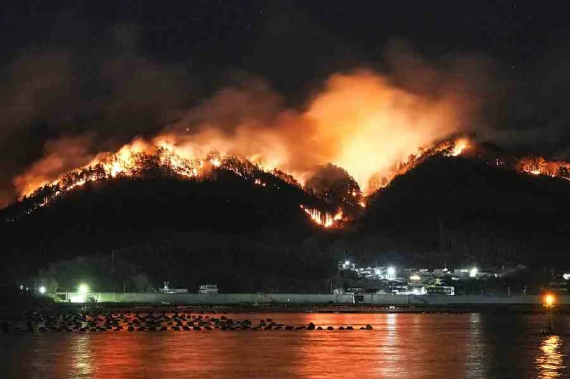 Rain Brings Hope as Japan Battles Unprecedented Wildfire in Ofunato