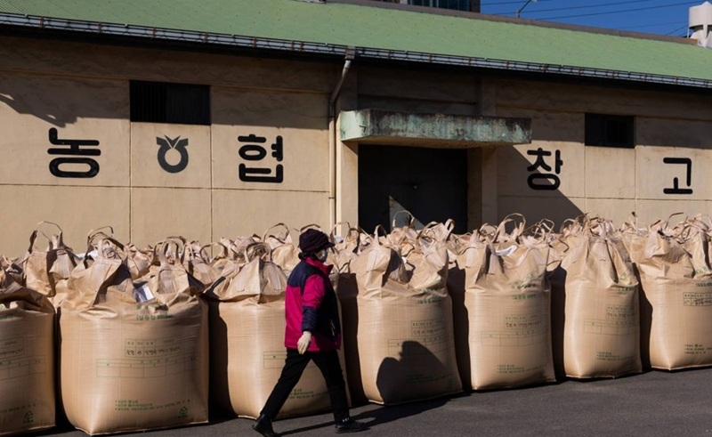 Japan, rice imports