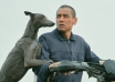black dog