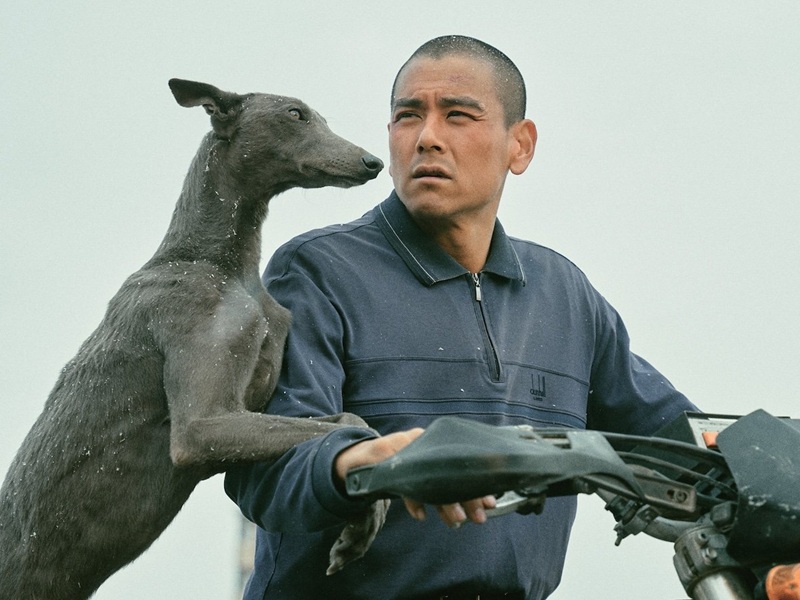 Chinese Cannes Winner ‘Black Dog’ debuts on Indian OTT platform