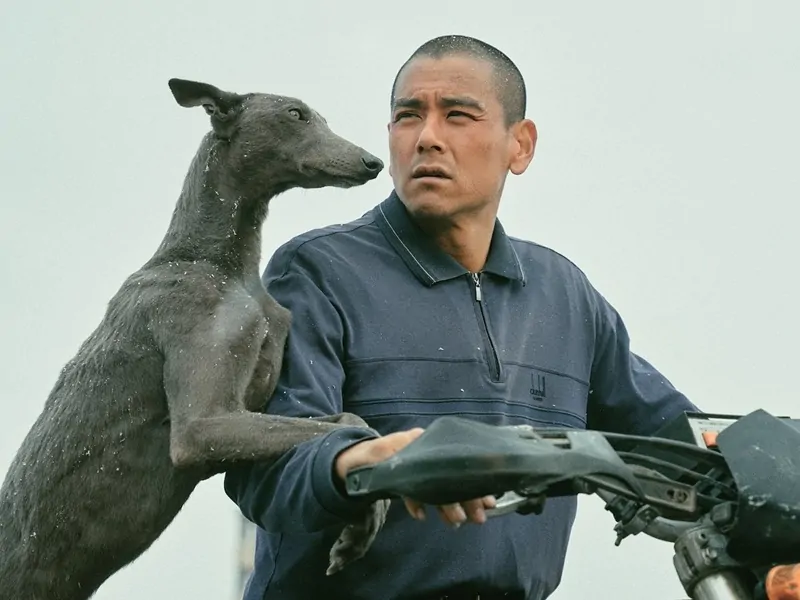 Chinese Cannes Winner ‘Black Dog’ debuts on Indian OTT platform